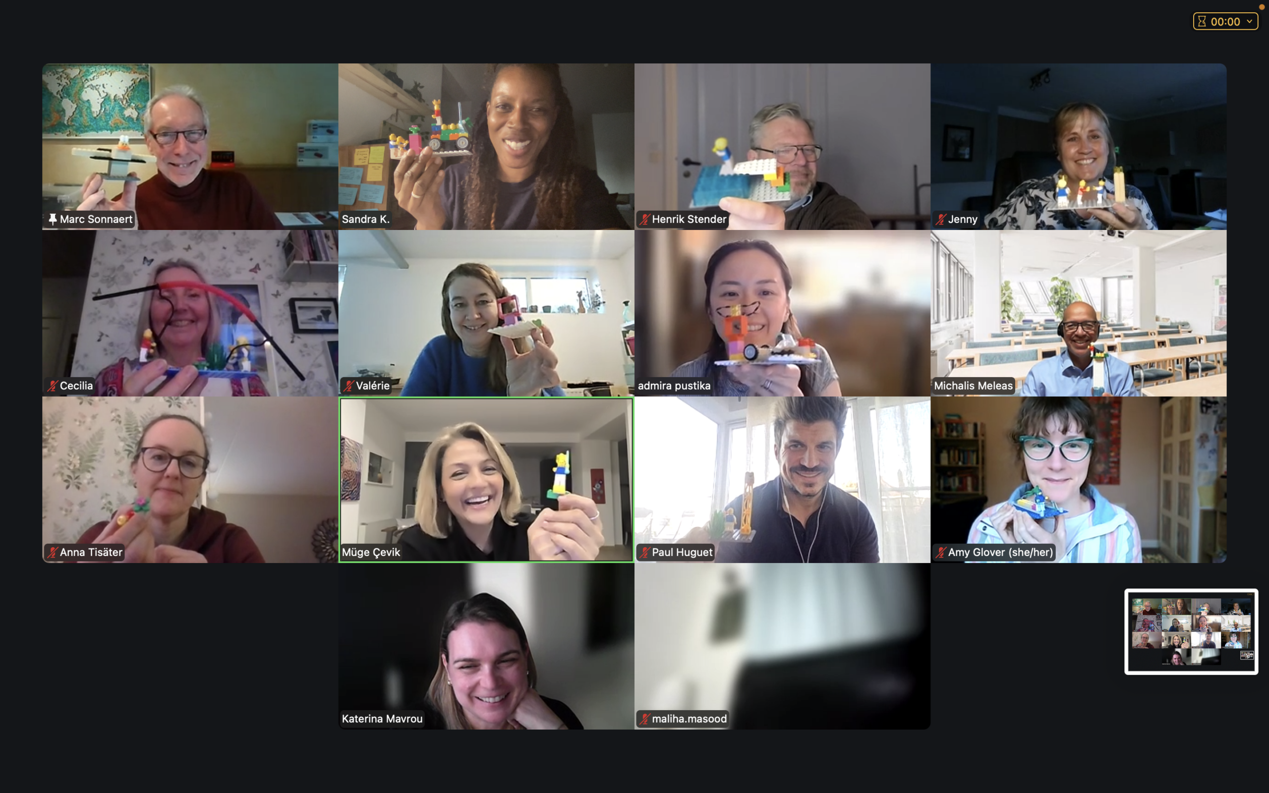 webinar - Online Micro Certification group photo